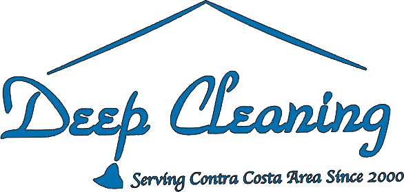 Deep Cleaning USA Logo